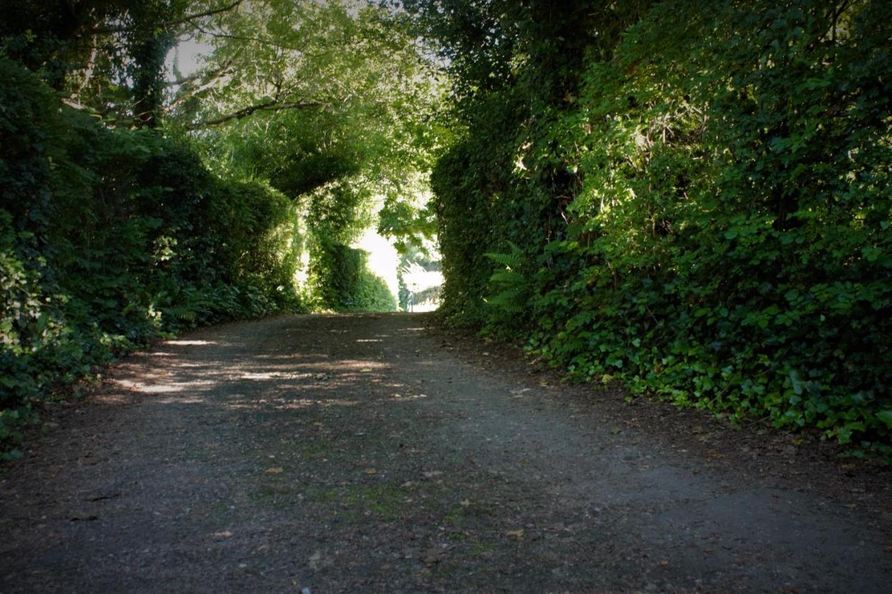 Remarkable Apartment In Kenmare Ireland Екстериор снимка